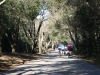 Manzanita_20060210_0022.JPG